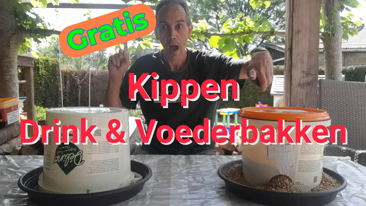 Kippenvoer en drinkbak maken